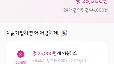 핀다이렉트lg망 100기가+5mps 25000원 인터넷결합가능