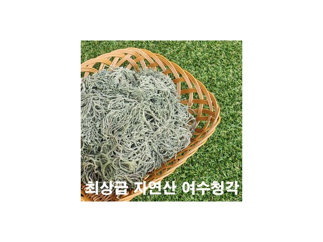 여수돌청각 가성비 최고 아이템 가격 비교 정리