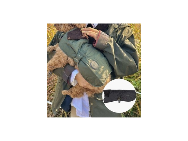 바버강아지옷 추천 TOP 인기템 비교 분석