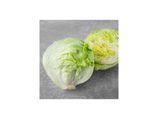 제주양상추 추천 인기 제품 쇼핑 필수 정보