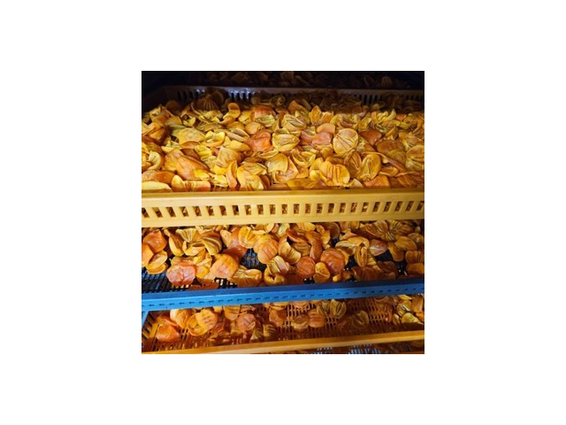 감말랭이700g 쇼핑 꿀팁 가이드