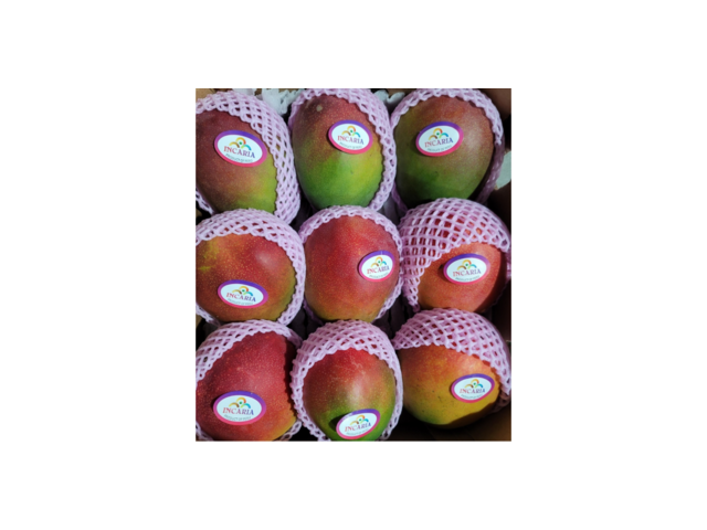 재주문망고 만족스러운 상품 소개